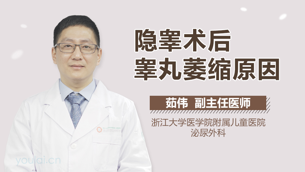 隐睾术后睾丸萎缩原因