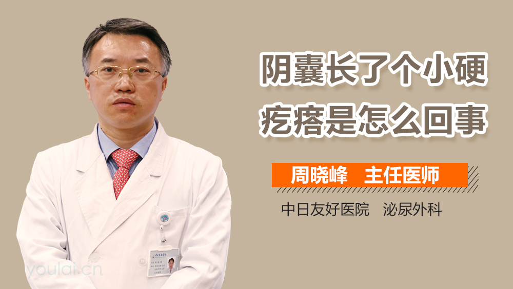 阴囊长了个小硬疙瘩是怎么回事