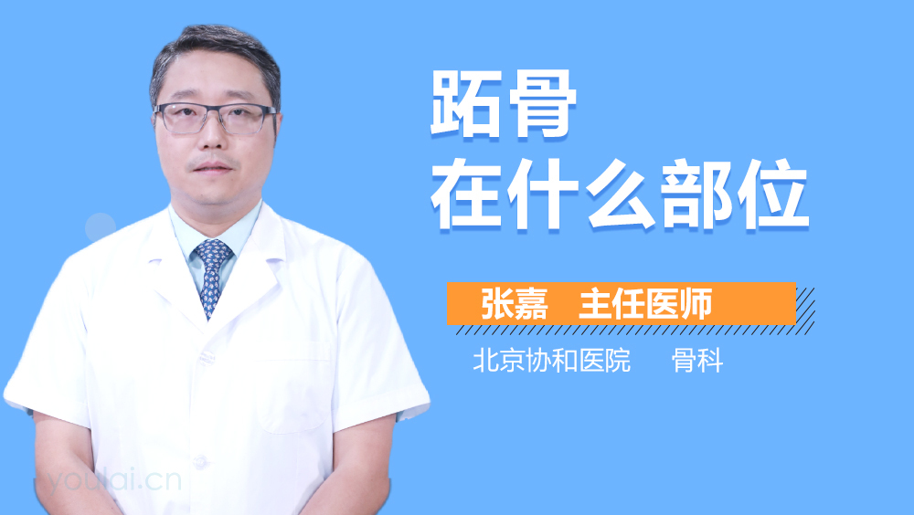 跖骨在什么部位