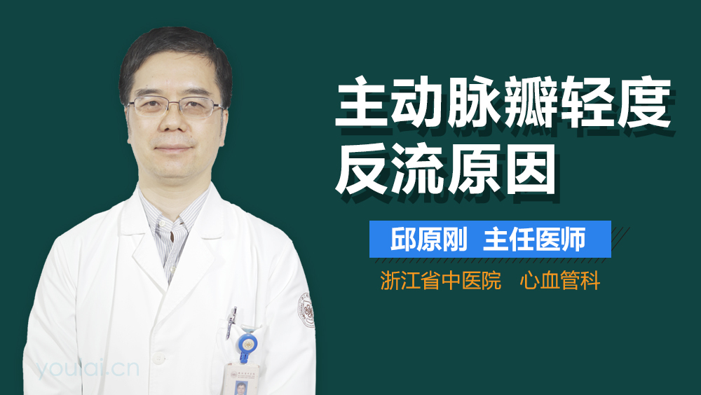 主动脉瓣轻度反流原因