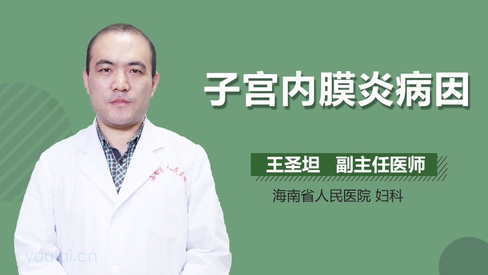 子宫内膜炎病因