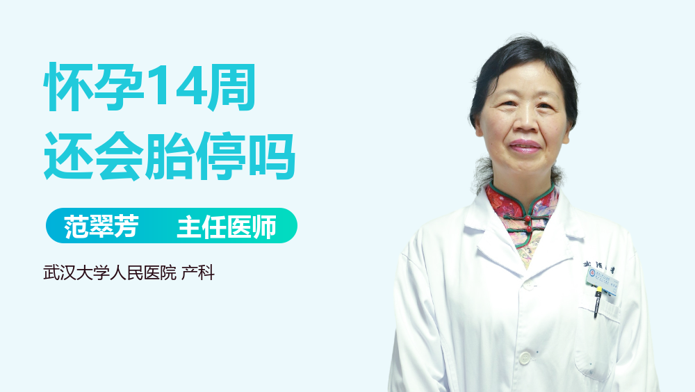 怀孕14周还会胎停吗