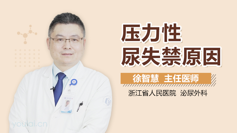 压力性尿失禁原因