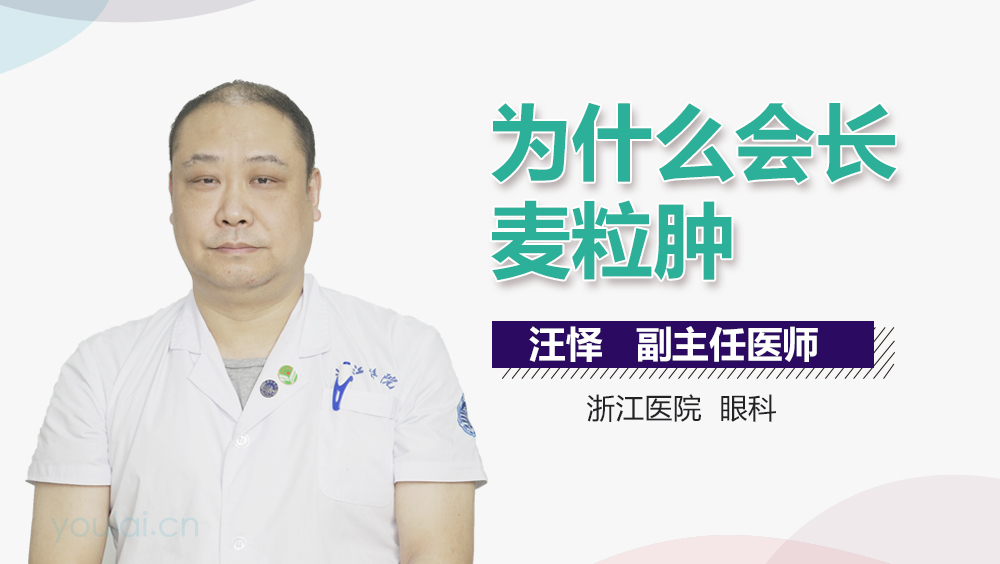 为什么会长麦粒肿