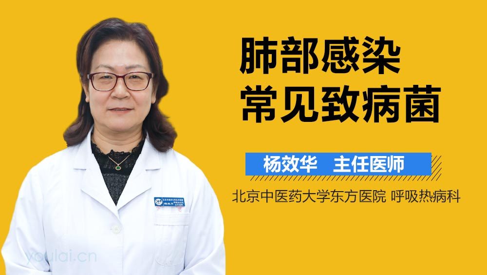 肺部感染常见致病菌