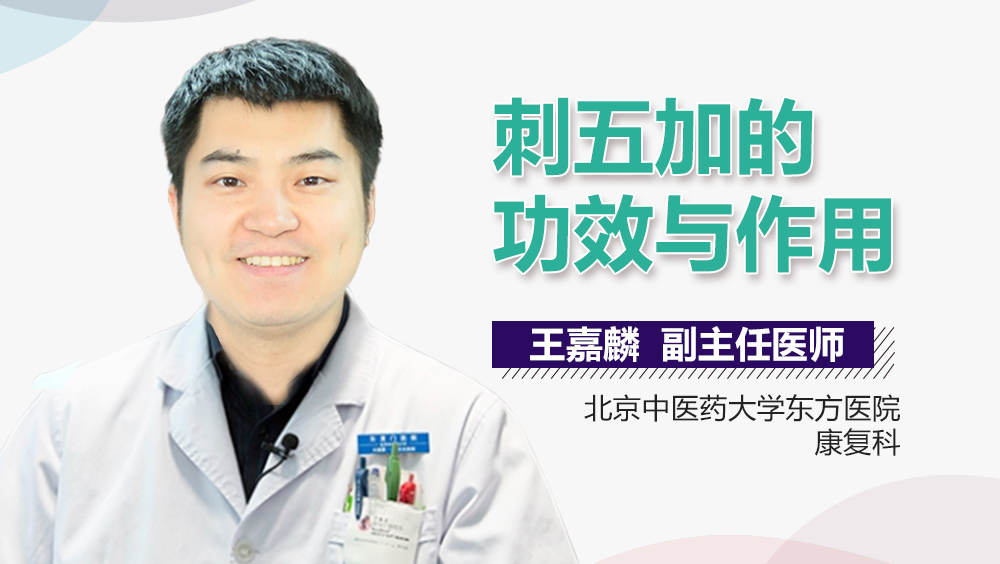 刺五加的功效与作用