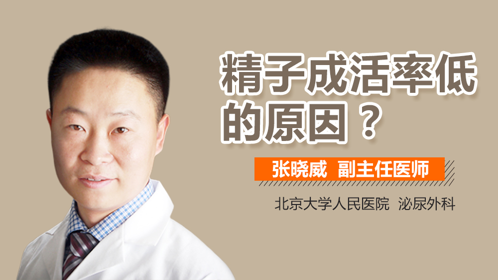 精子成活率低的原因