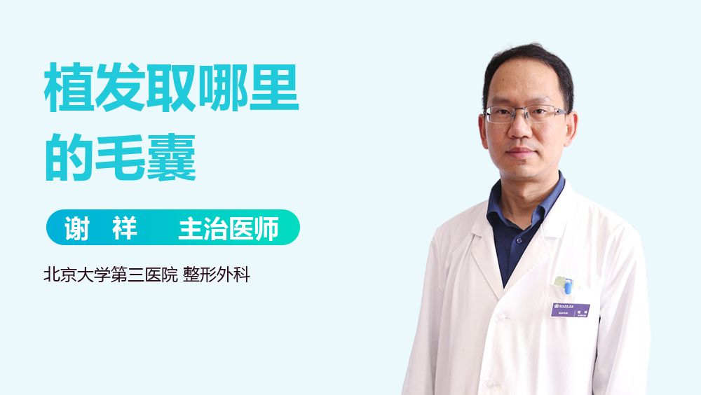 植发取哪里的毛囊