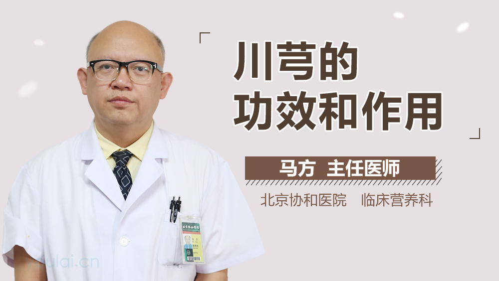 川芎的功效和作用