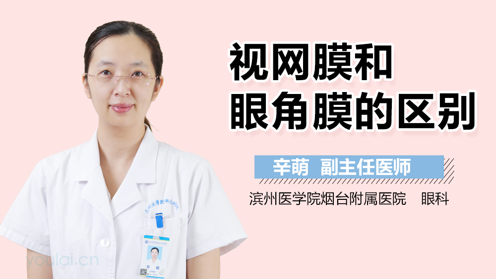 视网膜和眼角膜的区别