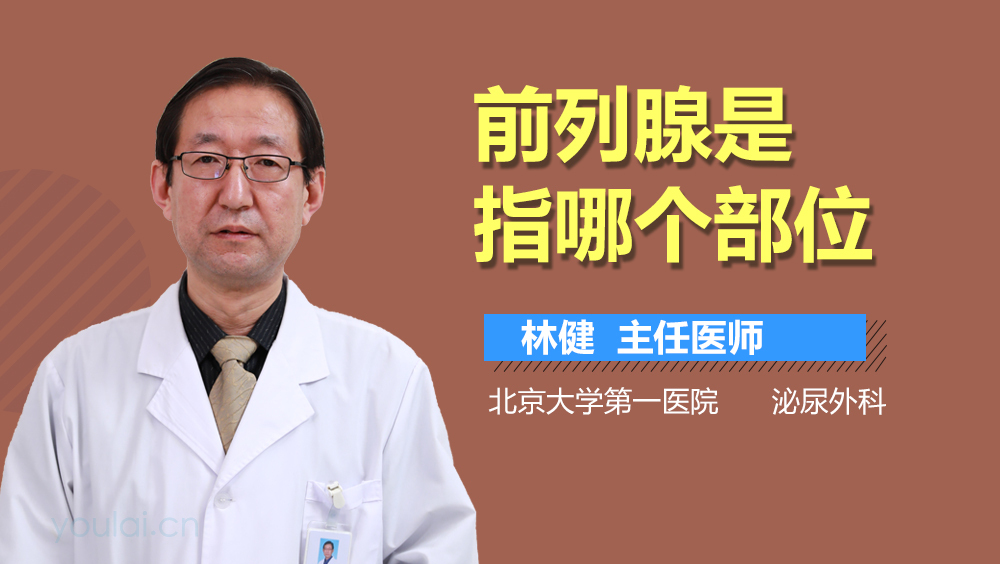 前列腺是指哪个部位