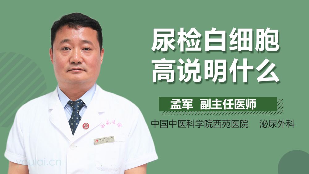 尿检白细胞高说明什么