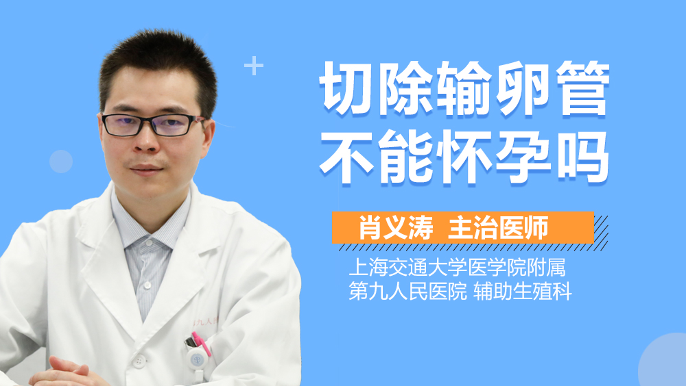 切除输卵管不能怀孕吗
