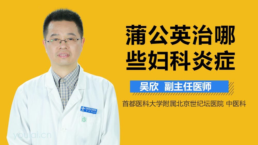 蒲公英治哪些妇科炎症