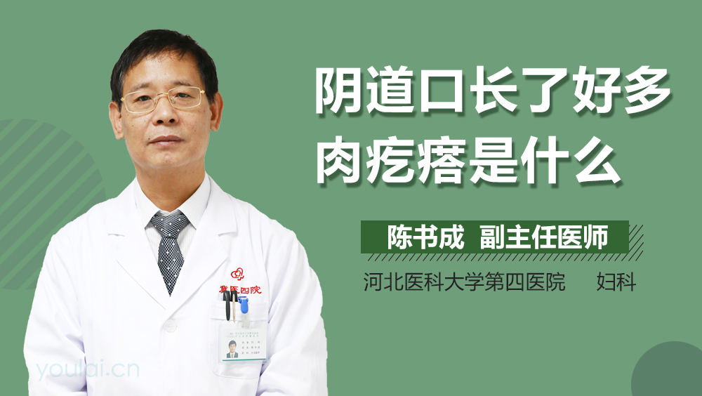 阴道口长了好多肉疙瘩是什么