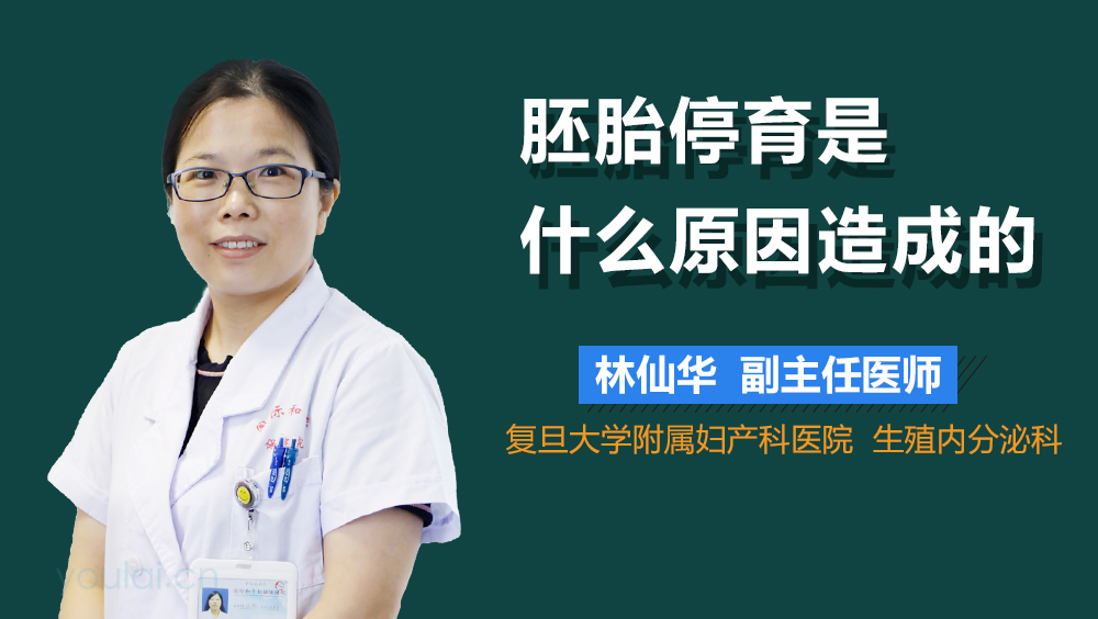 胚胎停育是什么原因造成的