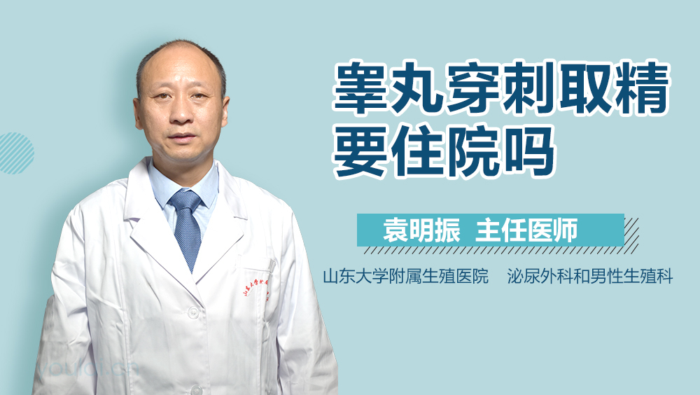 睾丸穿刺取精要住院吗