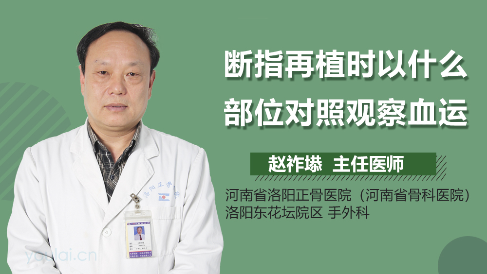 断指再植时以什么部位对照观察血运