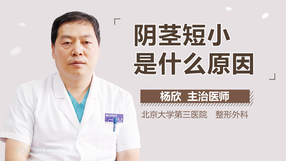 阴茎短小是什么原因