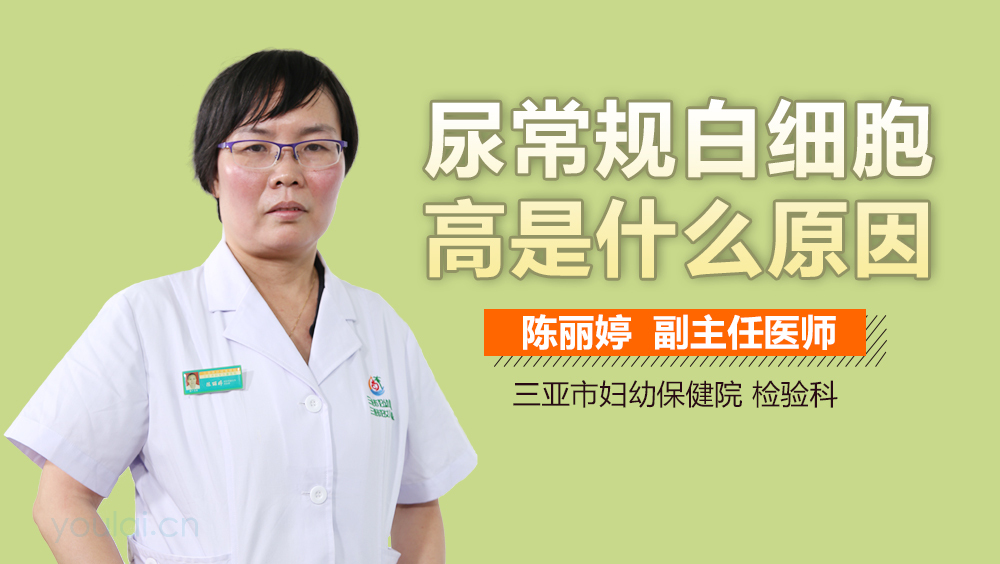 尿常规白细胞高是什么原因
