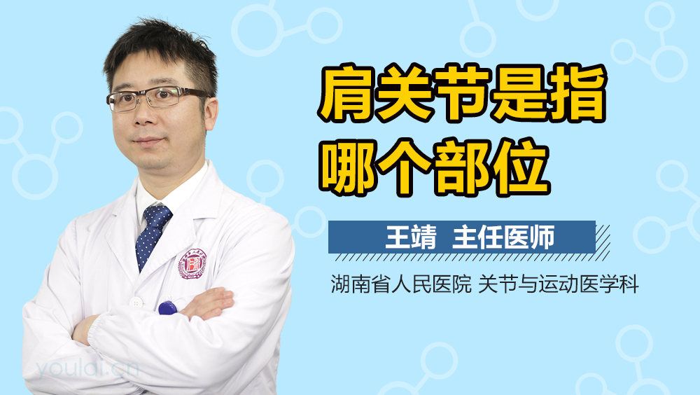 肩关节是指哪个部位