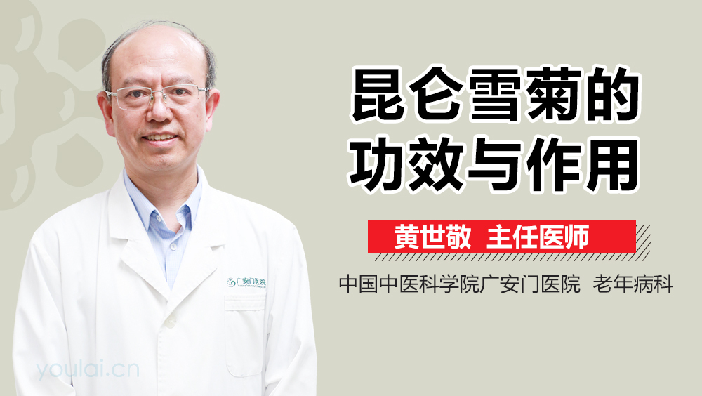 昆仑雪菊的功效与作用