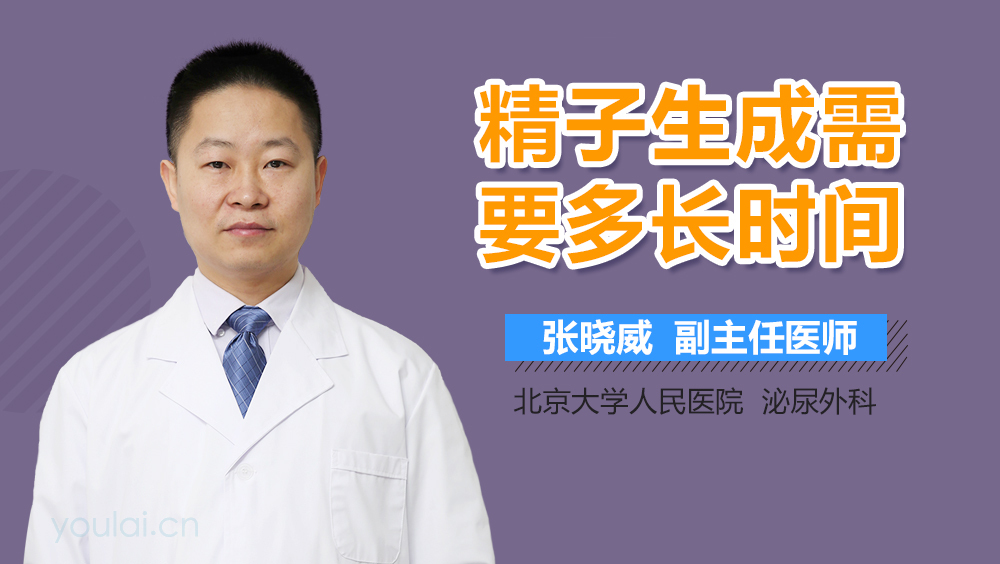 精子生成需要多长时间