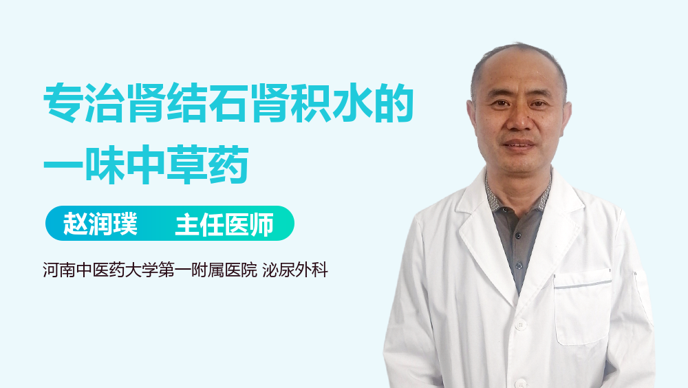 专治肾结石肾积水的一味中草药