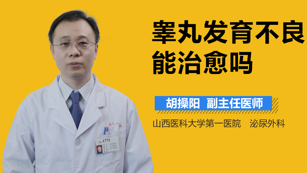 睾丸发育不良能治愈吗