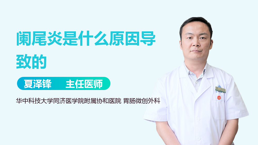 阑尾炎是什么原因导致的