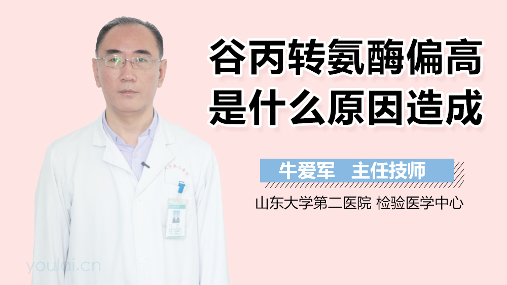 谷丙转氨酶偏高是什么原因造成的