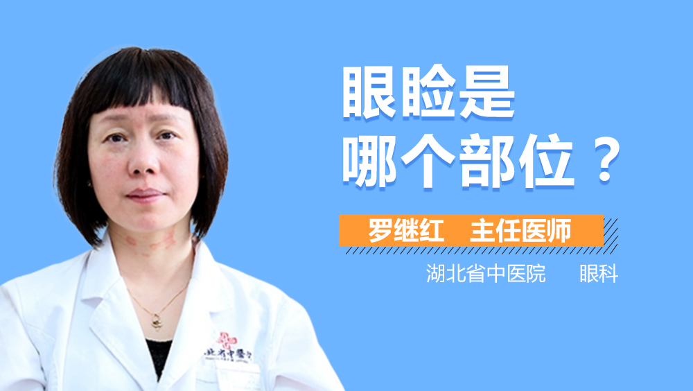 眼睑是哪个部位
