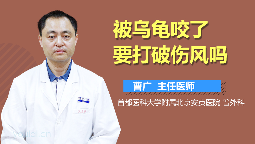 被乌龟咬了要打破伤风吗