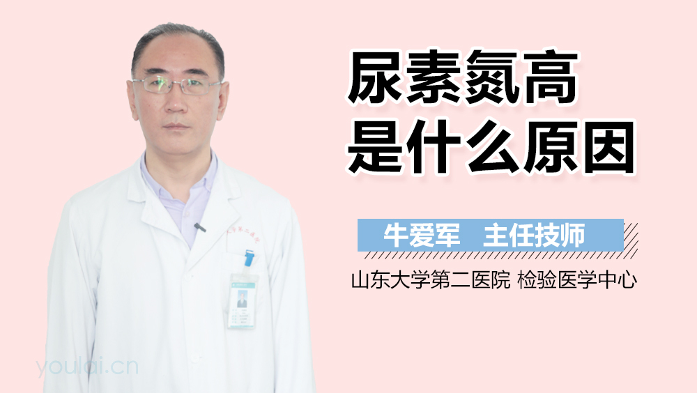 尿素氮高是什么原因