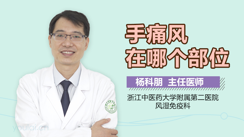 手痛风在哪个部位
