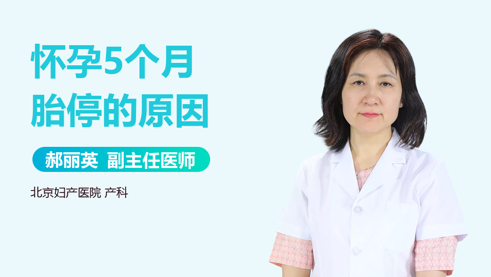 怀孕5个月胎停的原因