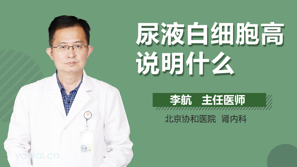 尿液白细胞高说明什么