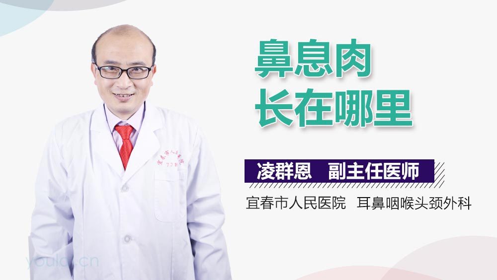 鼻息肉长在哪里