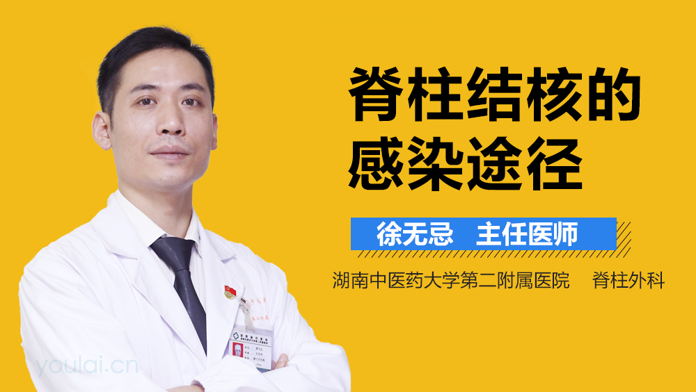 脊柱结核的感染途径