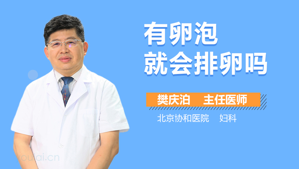 有卵泡就会排卵吗