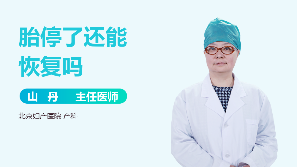 胎停了还能恢复吗