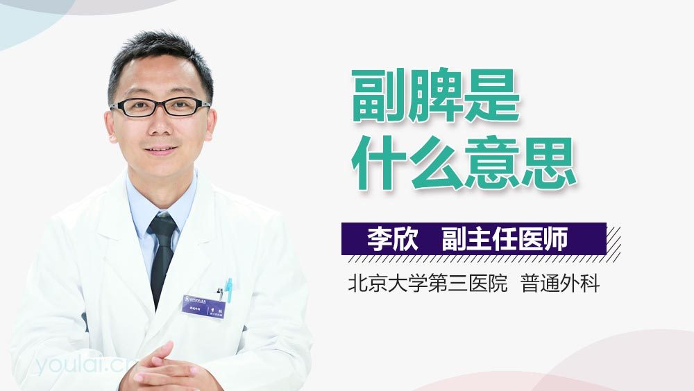 副脾是什么意思