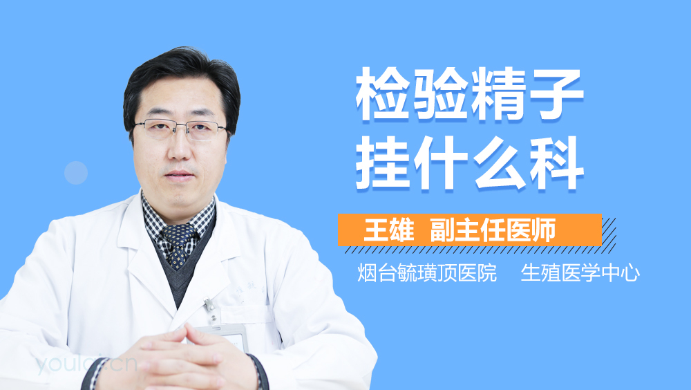 检验精子挂什么科