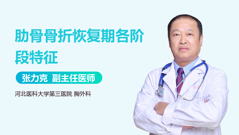 肋骨骨折恢复期各阶段特征