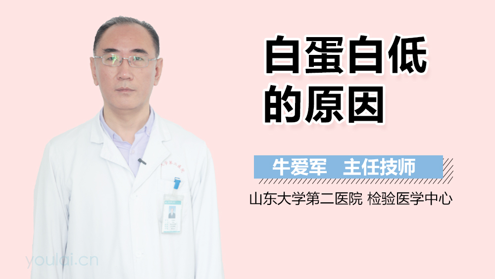 白蛋白低的原因