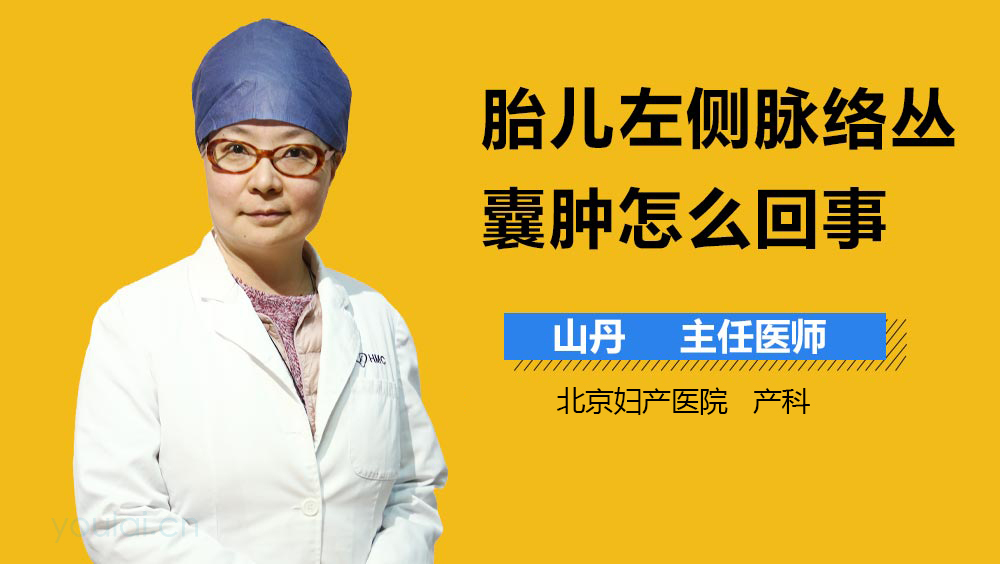 胎儿左侧脉络丛囊肿怎么回事