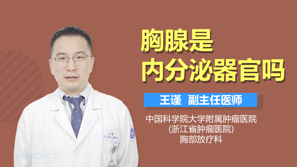 胸腺是内分泌器官吗