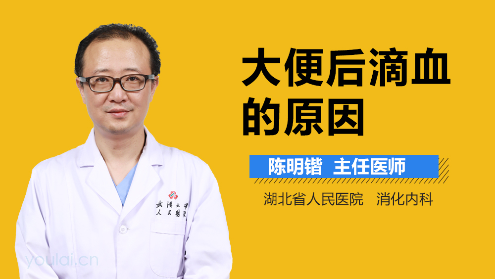 大便后滴血的原因