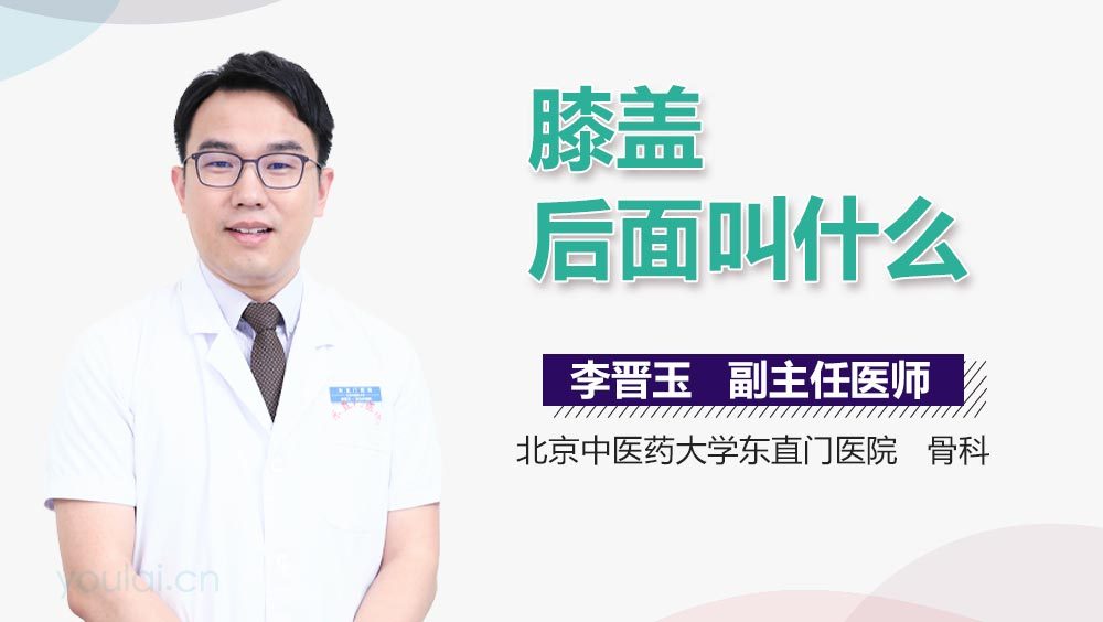 膝盖后面叫什么