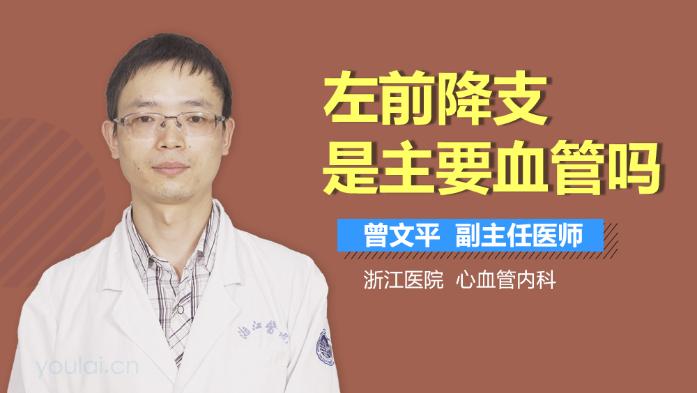 左前降支是主要血管吗